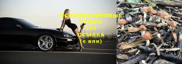 прущий лед Лихославль