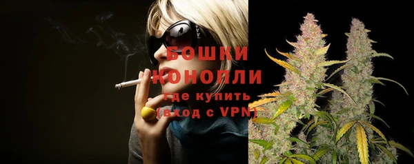 гашик Лагань
