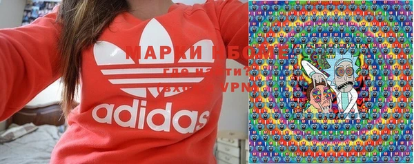 гашик Ладушкин