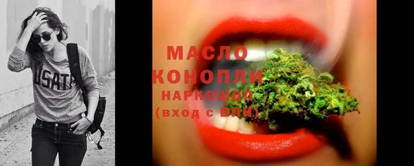 гашик Ладушкин